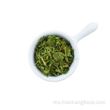 Rempah -rempah sayur -sayuran kering dan batang cilantro premium